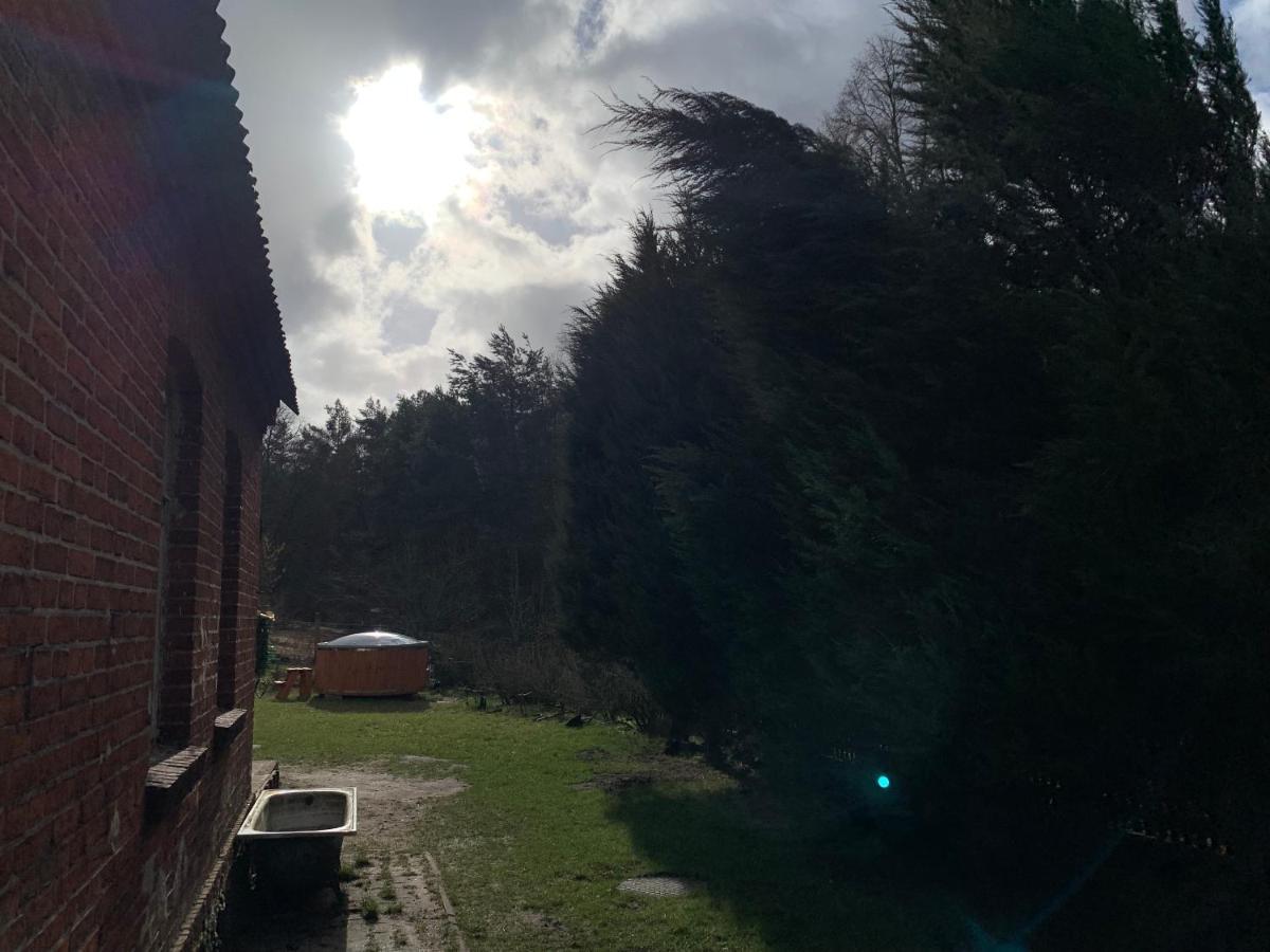 Gesiniec Stare Osieczno