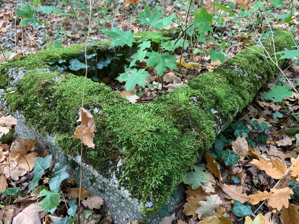 Bauernhof Gesiniec