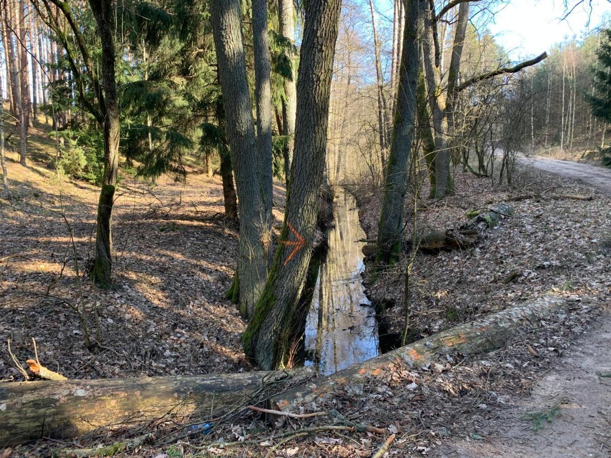 Gesiniec Bauernhof Stare Osieczno
